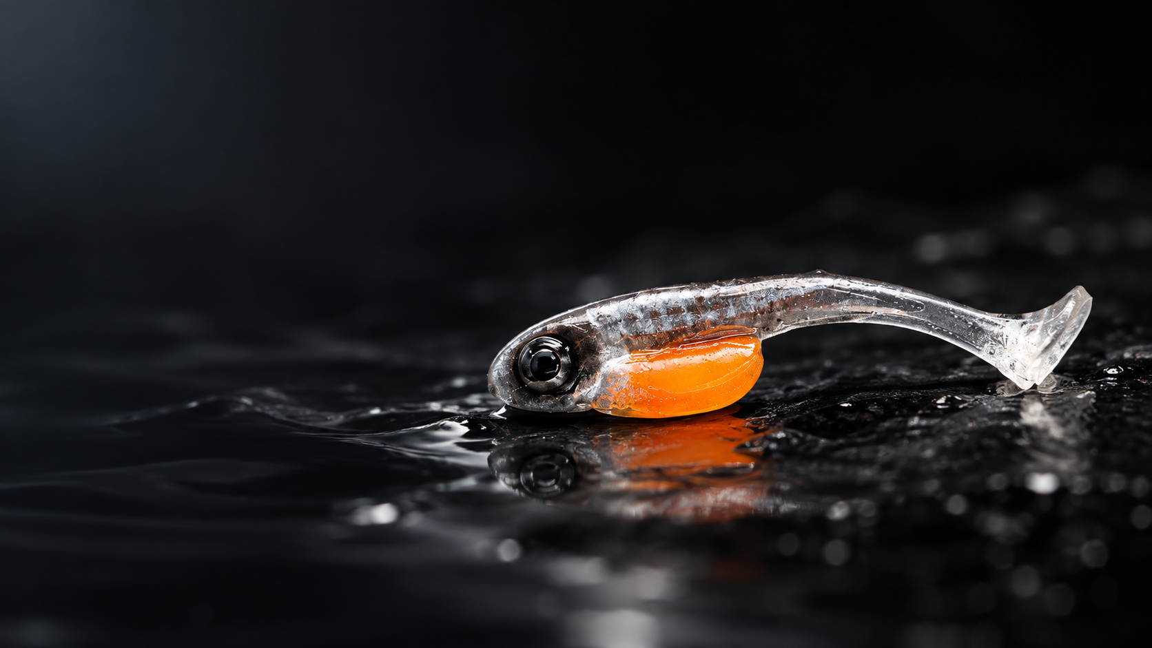 BISSWERK SELECTED Softbait auf nassem dunklem Stein